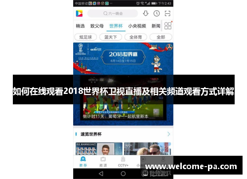 如何在线观看2018世界杯卫视直播及相关频道观看方式详解 如何在线观看2018世界杯卫视直播及相关频道观看方式详解