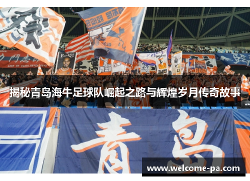 揭秘青岛海牛足球队崛起之路与辉煌岁月传奇故事 揭秘青岛海牛足球队崛起之路与辉煌岁月传奇故事