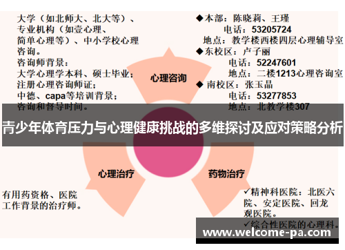 青少年体育压力与心理健康挑战的多维探讨及应对策略分析