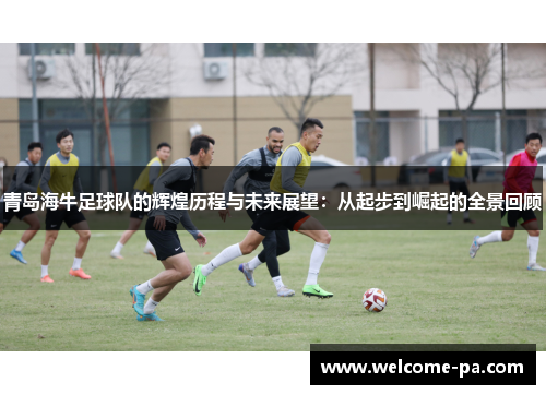 青岛海牛足球队的辉煌历程与未来展望：从起步到崛起的全景回顾