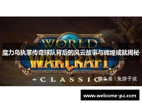 魔力鸟执掌传奇球队背后的风云故事与辉煌成就揭秘