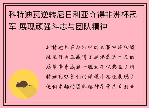 科特迪瓦逆转尼日利亚夺得非洲杯冠军 展现顽强斗志与团队精神